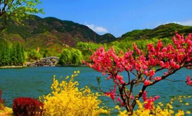 Kashmir Leisure And Luxury Tours