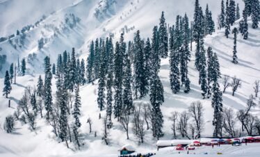 Kashmir Winter Tour Package